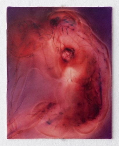“Untitled”, 20″ x 16″, silk and encaustic, 2013