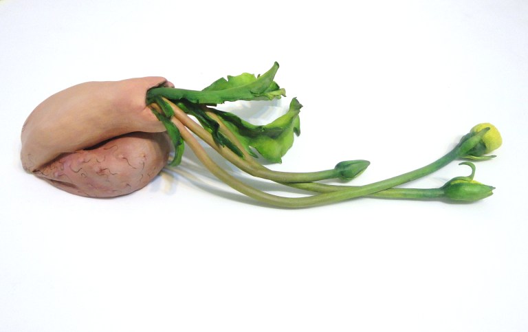 15Ceramic_Root2_in_progress