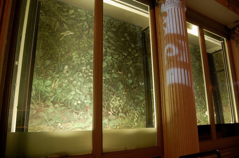 Eunuch Tapestry 5_install